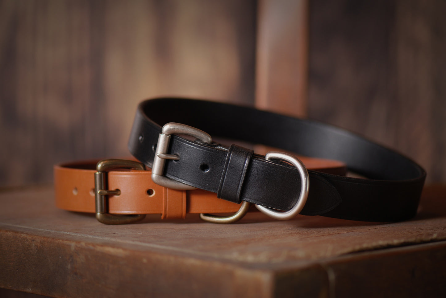 traditional leather dog collar