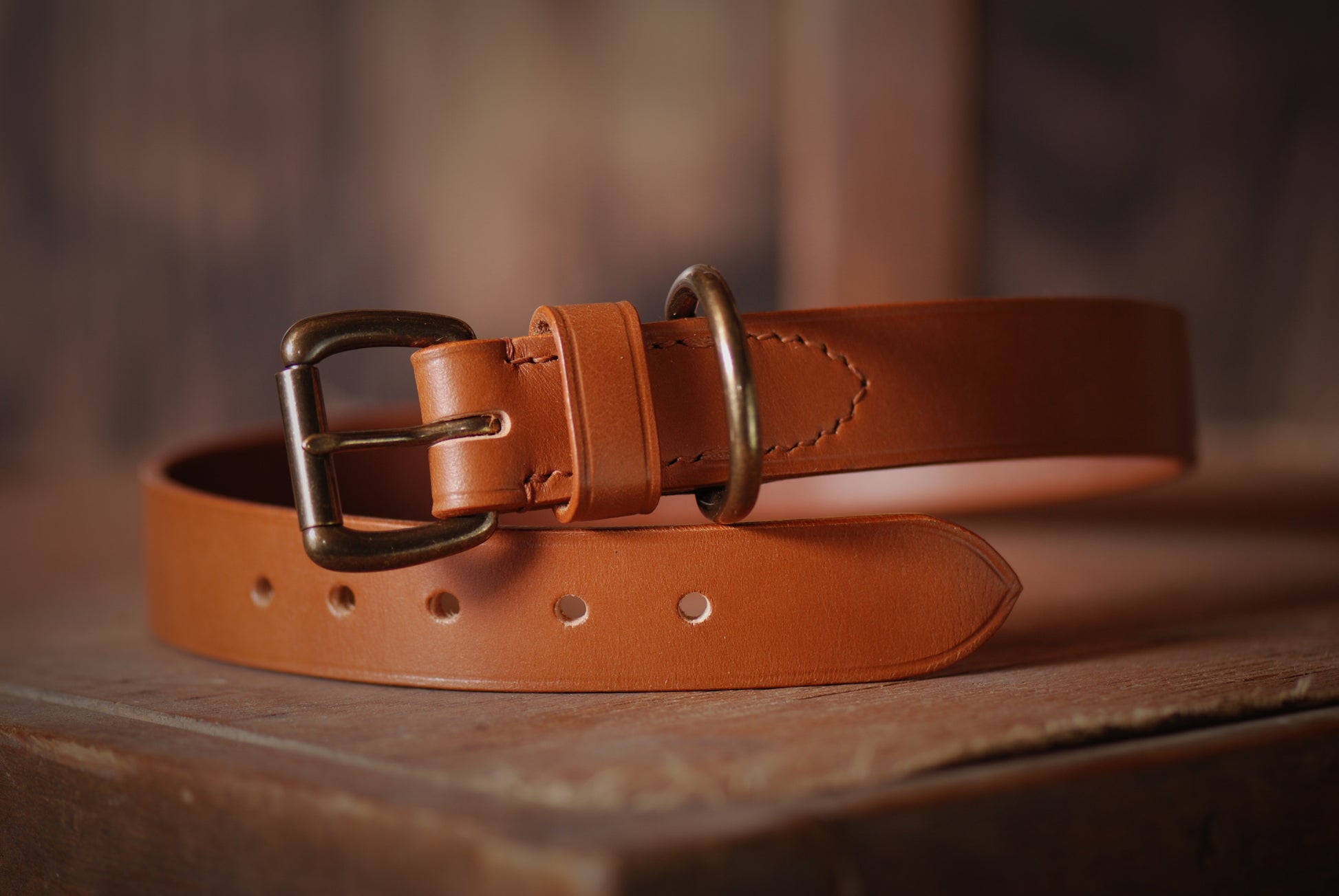 traditional leather dog collar